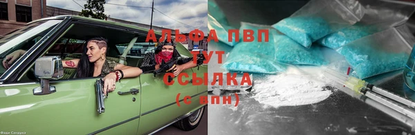 мет Алексин