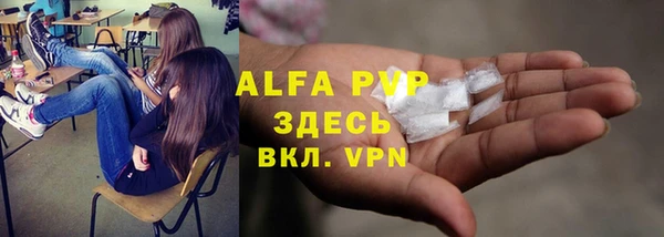 мет Алексин