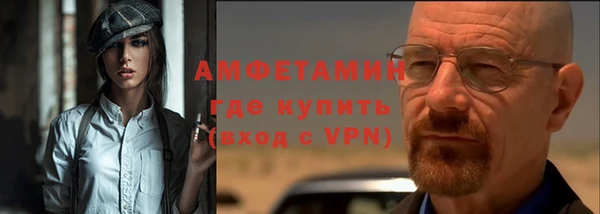 мет Алексин