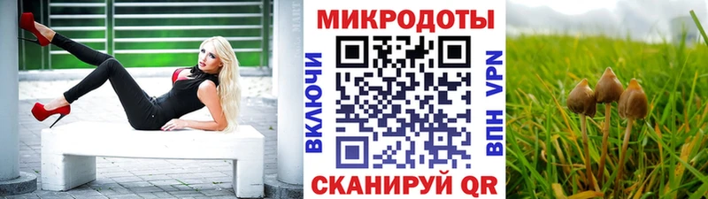 Галлюциногенные грибы ЛСД  hydra ONION  Цивильск 